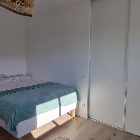 Belle Avec Piscine Au Coeur De Villa Cestas
